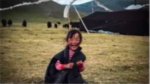 Global Oneness Project: Community Conversation